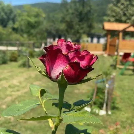 Wooden House Ripac Bihac