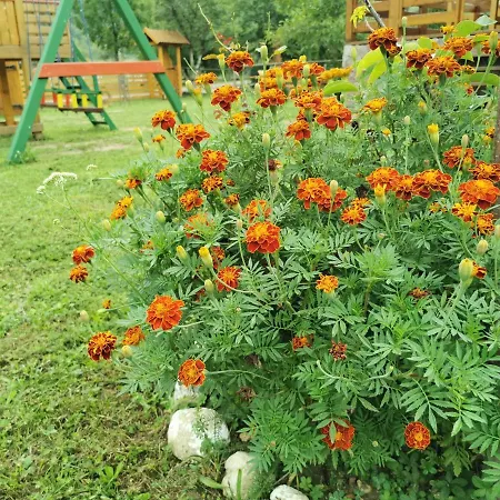 Wooden House Ripac *